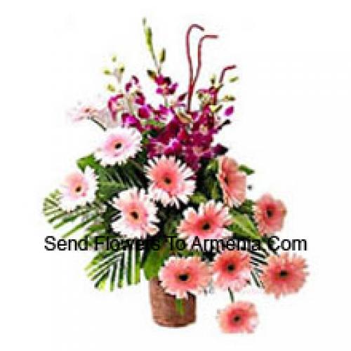 Sensational Gerberas with Orchids