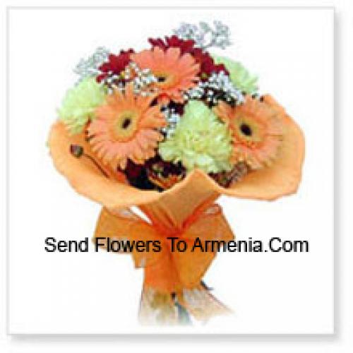 11 Assorted Cute Gerberas