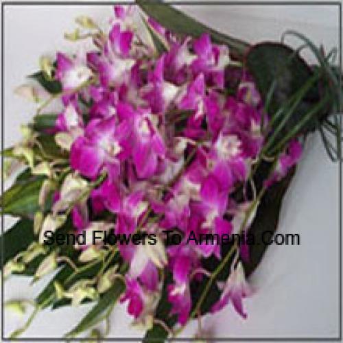 Cute Orchids Bunch