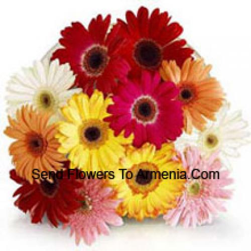 11 Assorted Gerberas with Fillers