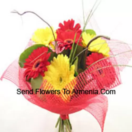 Bunch Of 11 Mixed Colored Gerberas