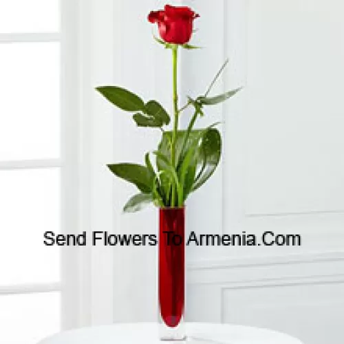 A Single Red Rose In A Red Test Tube Vase (We Reserve The Right To Substitute The Vase In Case Of Non-Availability. Limited Stock)