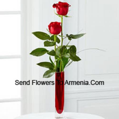 2 Sweet Red Roses in Vase