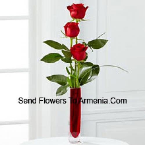 3 Cute Red Roses