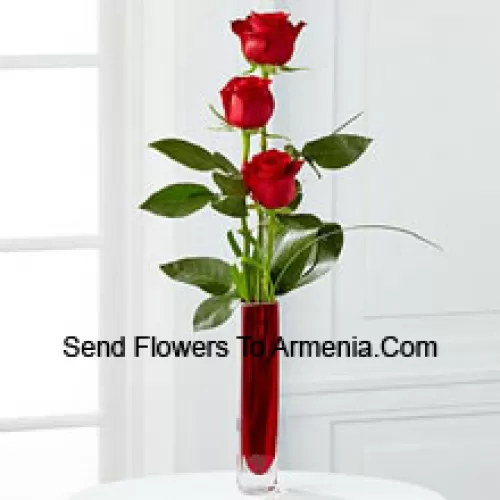 Three Red Roses In A Red Test Tube Vase (We Reserve The Right To Substitute The Vase In Case Of Non-Availability. Limited Stock)