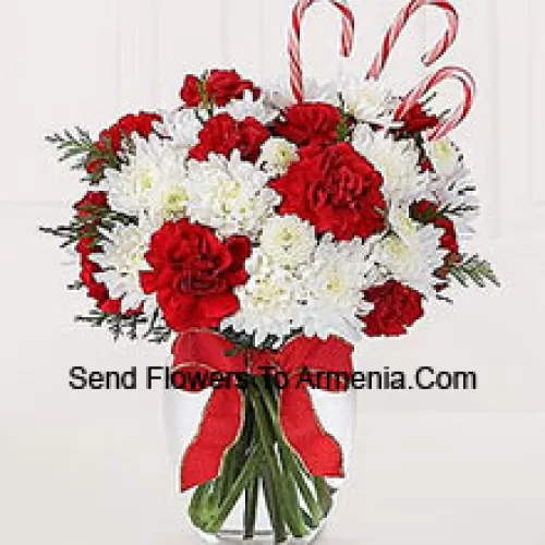 Sweeten their Christmas with a bounty of blooms and festive candy canes! A darling bouquet of red carnations and white chrysanthemums are accented with peppermint candy canes for a holiday presentation that is sure to make their holiday warm and bright. A memorable way to be a part of their holiday festivities! (Please Note That We Reserve The Right To Substitute Any Product With A Suitable Product Of Equal Value In Case Of Non-Availability Of A Certain Product)